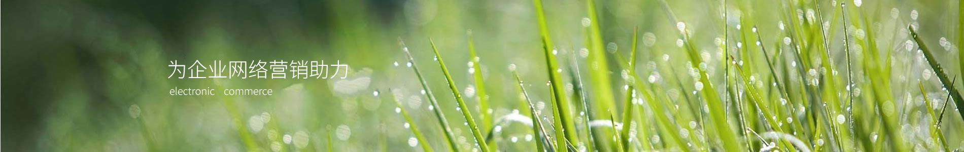 ڷɻ޹˾